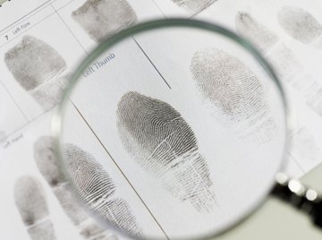Detectives can gather a lot of information from the tiniest details.