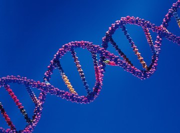 Understanding DNA is at the core of biotechnology advancements.