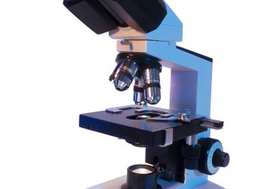 A typical microscope