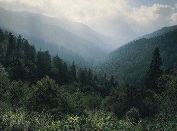 The Appalachians are a vast system of scenic mountains and ridges.