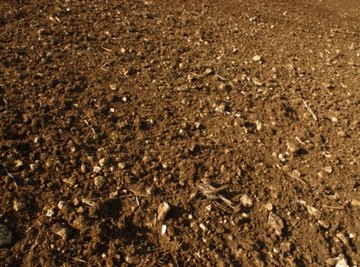 There are three texture classes of soil: sand, silt and clay.