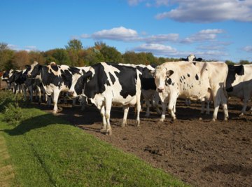 Ranches can be measured in acres.