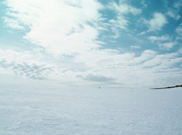 Efforts to Protect the Tundra