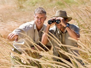 grassland biome goodshoot jupiterimages