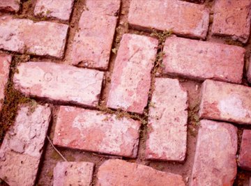 The use of jointing sand in between these bricks would have prevented the weeds from springing up.