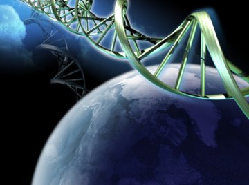 DNA codes genetic information--the blueprint of life.