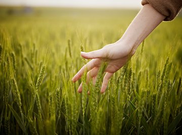 Touching is a good way to learn about our world.