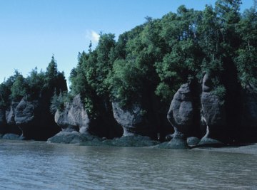 The Bay of Fundy experiences the greatest difference in water level between high and low tides.