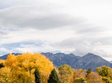 Lakes and ponds of all sizes dot the U.S. landscape.