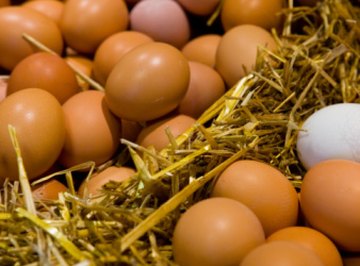 Eggs soaked in vinegar can bounce.