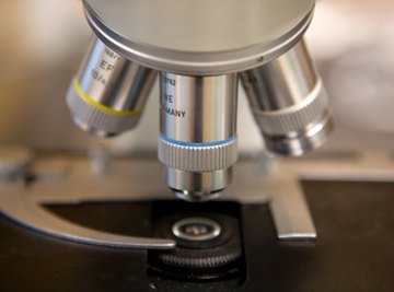 There are usually three or four objective lenses on a microscope.