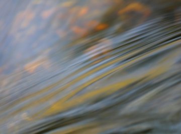 Using grey water to hydrate plants is one way to conserve water.