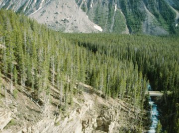 Landslides are a natural result of weathering and erosion.