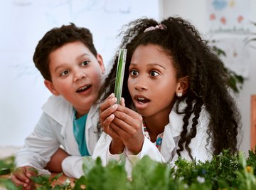 Preschool Blubber Experiment