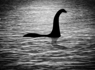 Many cryptozoologists posit that the Loch Ness monster – Nessie – is not a mythological beast at all, but is a survivor from the time of dinosaurs.