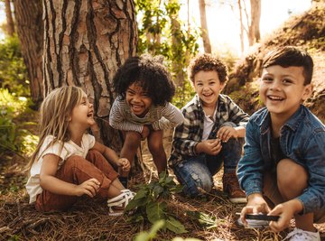What Are the Functions of Plant Parts for Kids?