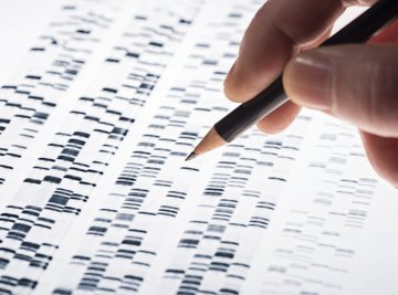 Why DNA Is the Most Favorable Molecule for Genetic Material & How RNA Compares to It in This Respect