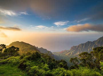 Tropical Rain Forest Biome Landscape Features