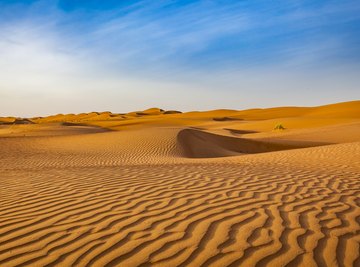 The Effects of Drought on Deserts