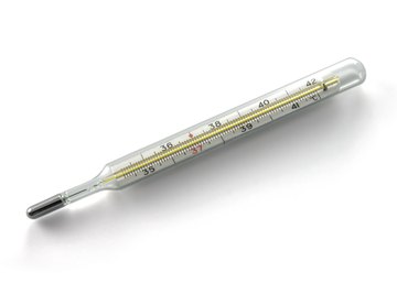Different Parts of a Mercury Thermometer