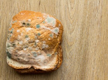 moldy bread loaf