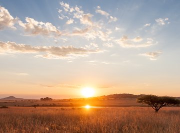 The Average Sunlight of the Grassland Biome