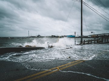 essay on effects of natural disasters