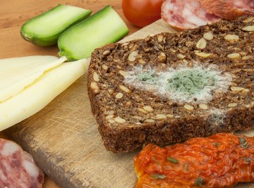 Mold on Bread: Here is What You Need to Know - Clean Water Partners