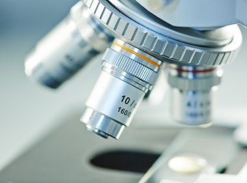 What Are the Different Types of Microscopy Used in a Microbiology Laboratory