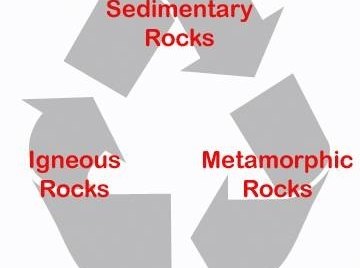 How Do Organic Sedimentary Rocks Form?