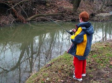 How Does Weather Affect Fish Behavior?