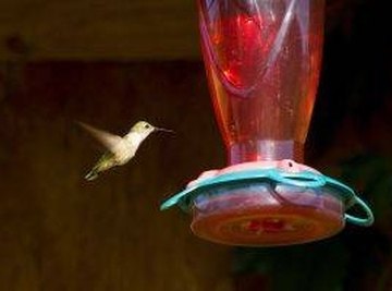How to Make Hummingbird Food for Feeders