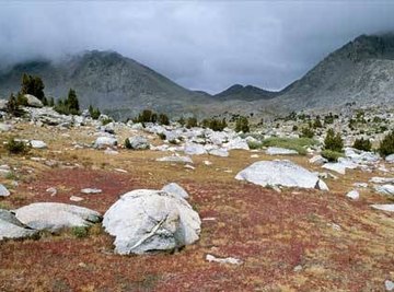 What Causes a Tundra to Form?