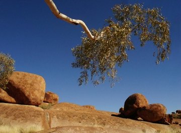 Desert Biome Environmental Problems