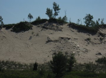 Ecosystems in Indiana