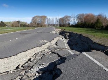 Earthquakes effect not only man made structures,  but also the delicate balance of the ecosystems.