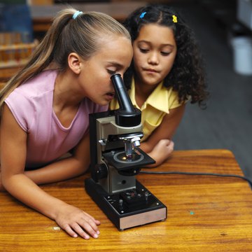 Many second graders learn to use scientific equipment.