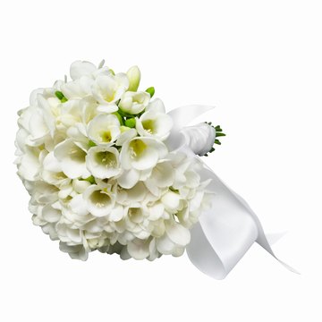 Lilies are elegant yet charming.