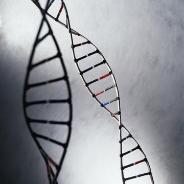 The discovery of the double helix represents a major contribution of biophysics.