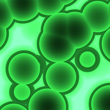Various molecules diffuse across cell membranes.