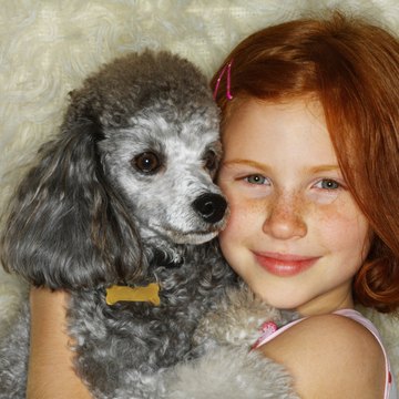 DailyPuppy article image