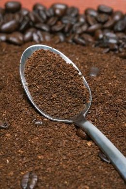 A Science Project for Growing Plants With Coffee Grounds or Soil ...