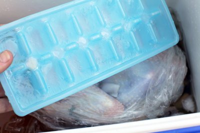How to Brine a Turkey in an Ice Chest (with Pic