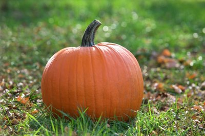 Garden Guides | How to Tell If a Pumpkin Is Overripe?