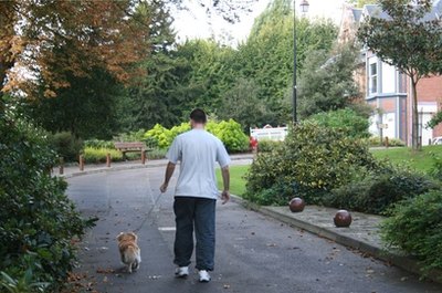 promenade image by reynald lassire from Fotolia.com Indoor leash training teaches him the manners he'll need for outdoor walks.