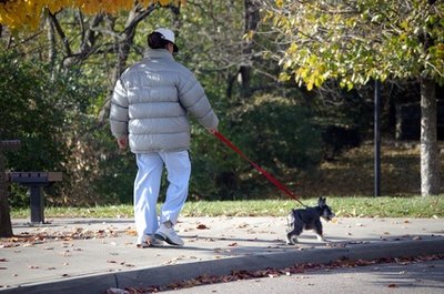 dog walker image by robert mobley from Fotolia.com Dogs need as much as 60 minutes of exercise each day.