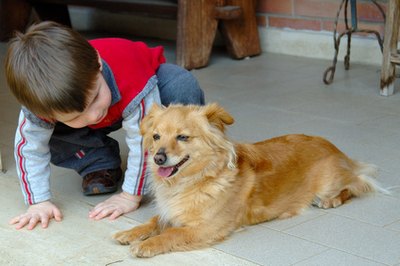 bambino e cane image by Michele Campini from Fotolia.com Organic flea treatments are preferable to toxic chemical alternatives.