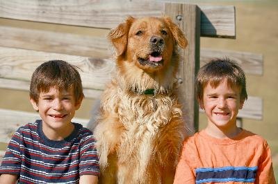 Boys and Dog on a Sunny Day image by sonya etchison from Fotolia.com Make sure his visitors feel welcome.