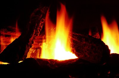 fireplace image by Michael Shake from Fotolia.com Keep a dog away from hazards, such as an open fireplace, during a seizure.