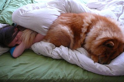 woman and dog sleeping on bed image by nextrecord from Fotolia.com Certain habits may encourage clinginess.
